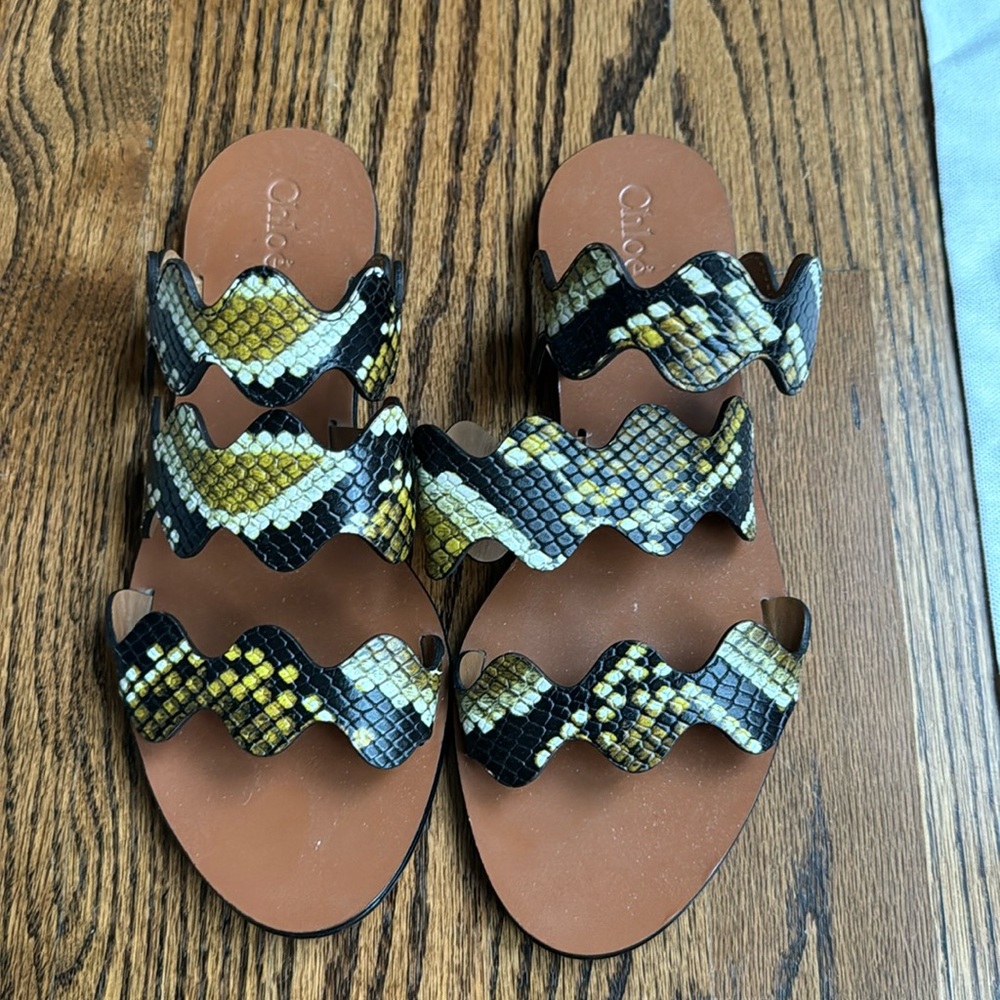 Chloe Lauren Scalloped Snakeskin Slides